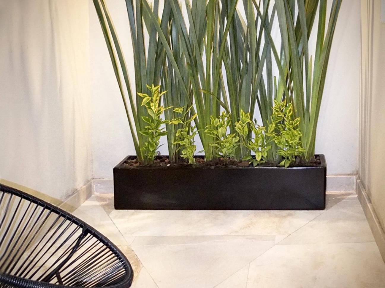 Flats Friends Condesa-Pelotari Apartment Mexico City Bilik gambar